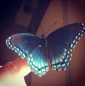 Budded on Earth to Bloom in Heaven